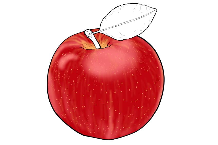 Apple Sketch 10