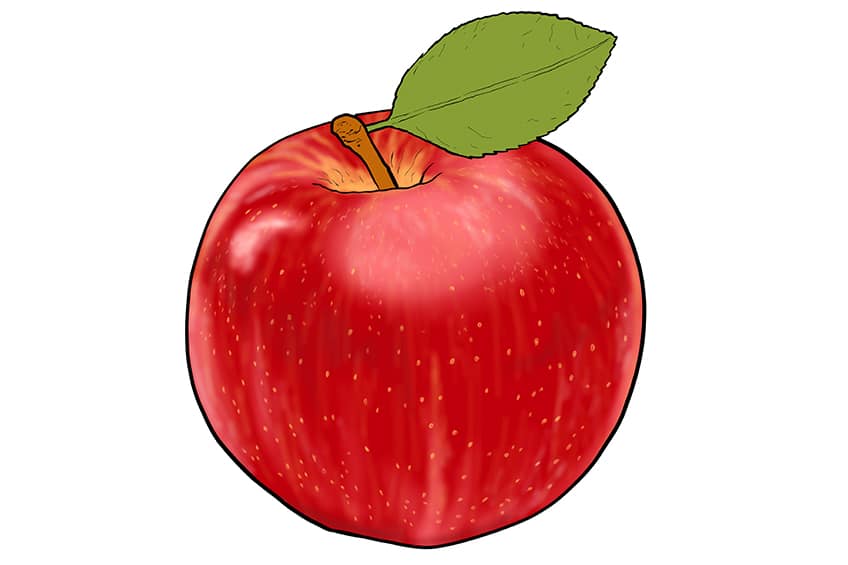 Apple Sketch 12