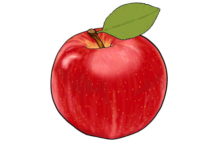 Apple Sketch 13