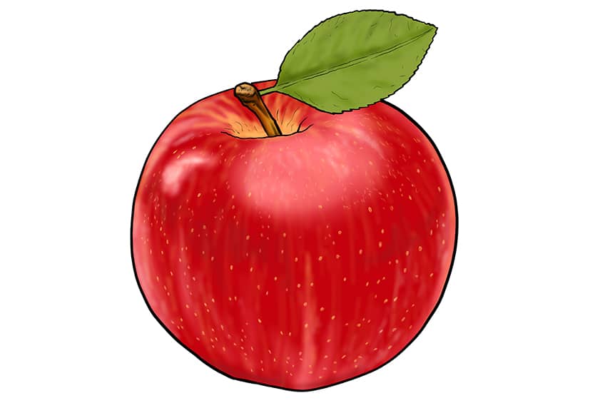 Apple Sketch 14