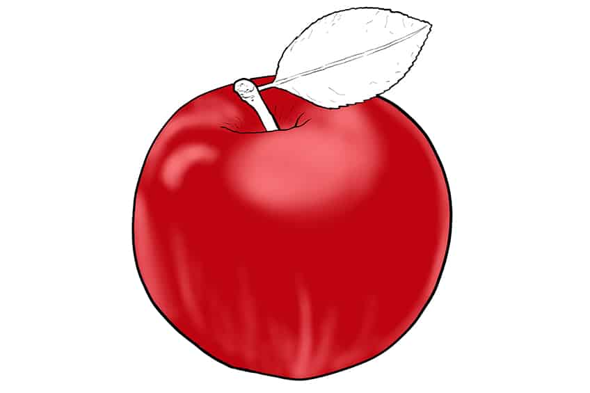Apple Sketch 8