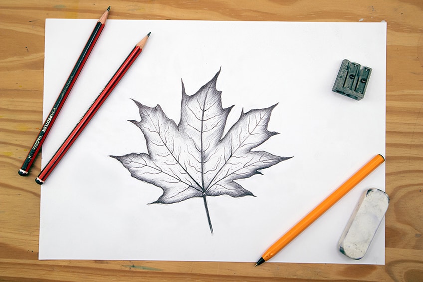 Autumn Leaf Drawing Craft