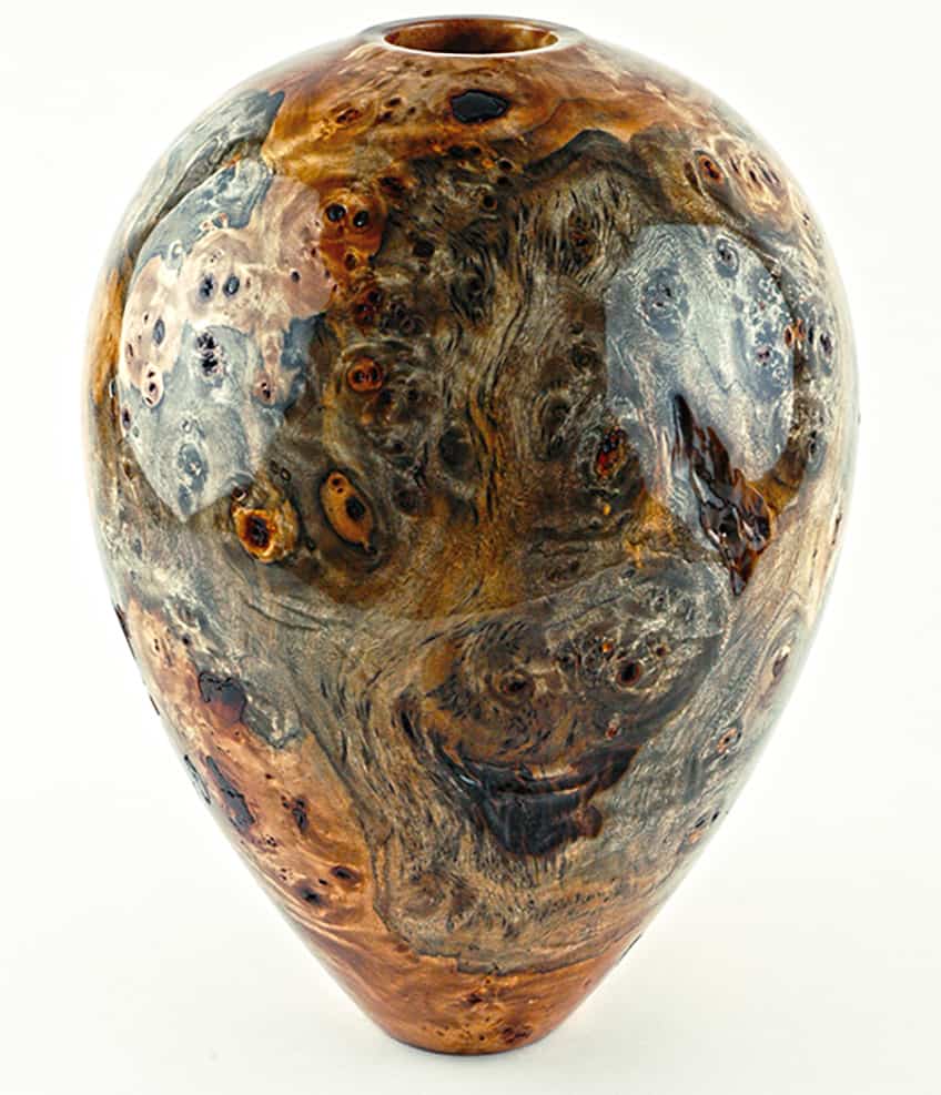 Burl Wood Vase by Thomas Faessler