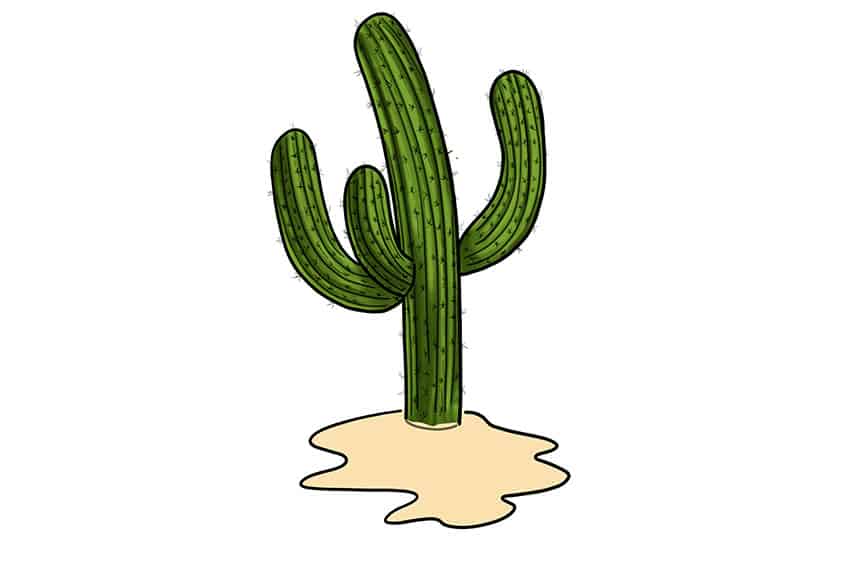 Cactus Sketch 11