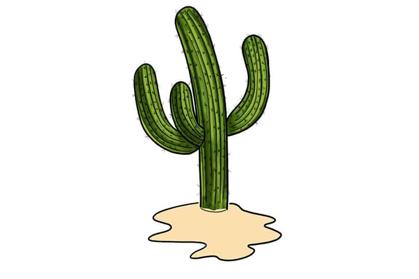 Cactus Sketch 12