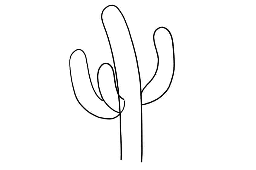 Cactus Sketch 4