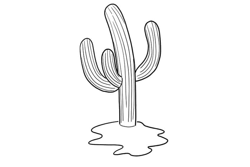 Cactus Sketch 6