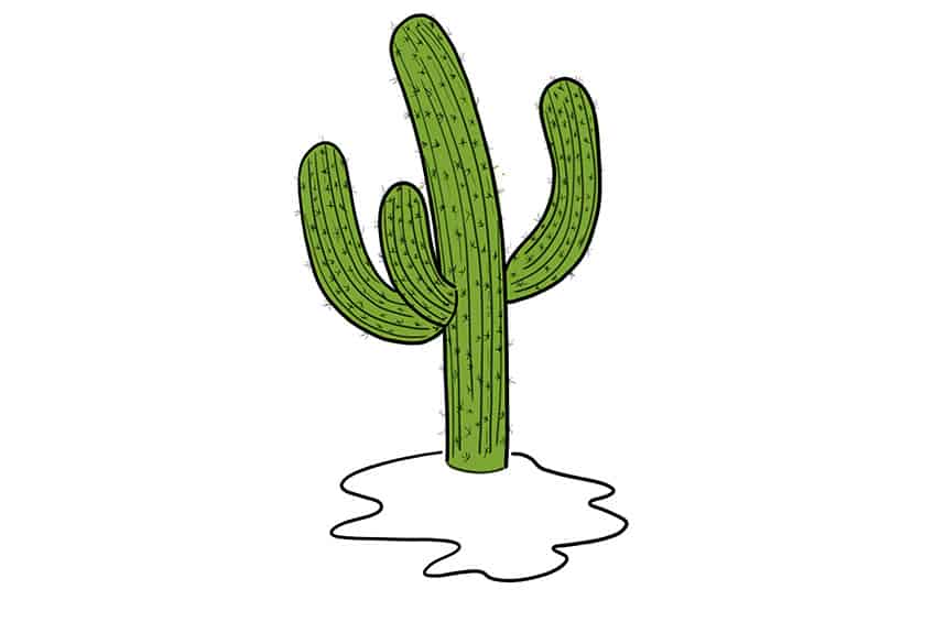 Cactus Sketch 8