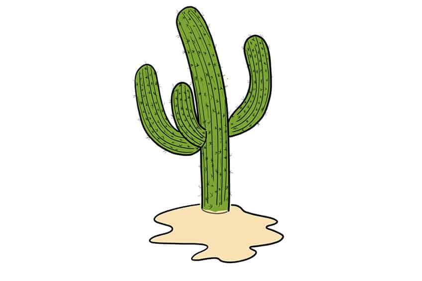 Cactus Sketch 9