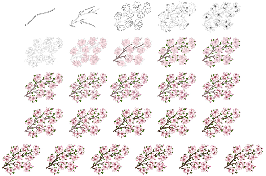 Cherry Blossom Sketch Stages