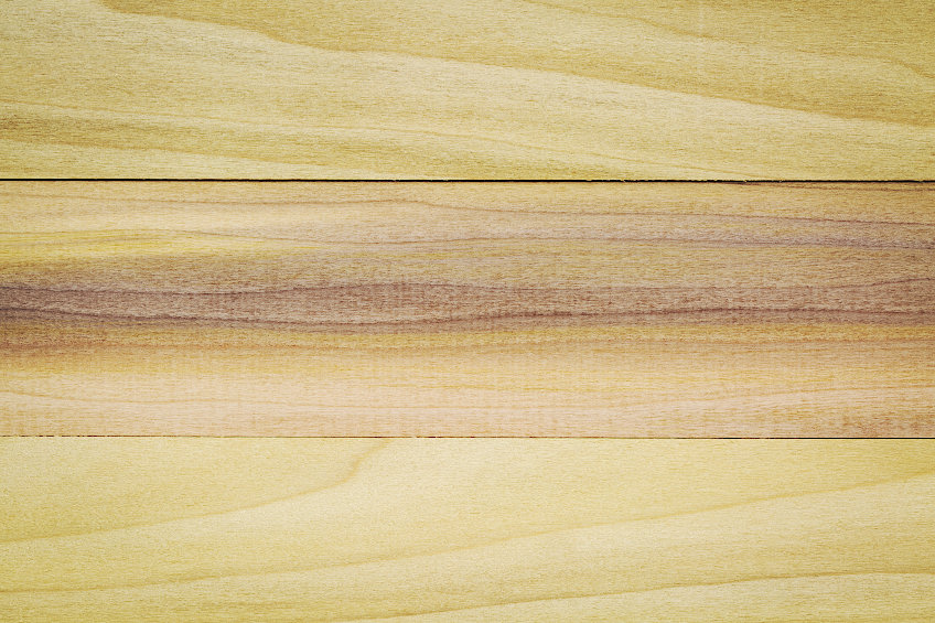 Color and Grain of Poplar Wood