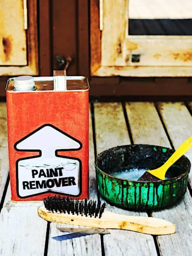 Remove Paint from Plastic – What Products Work Best