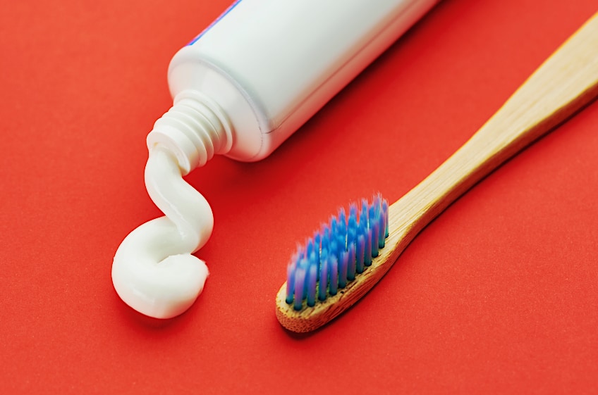 First Nylon Bristles for Toothbrush