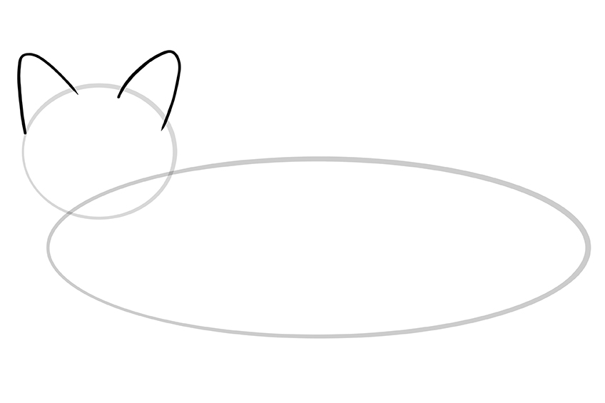 Fox Sketch 3