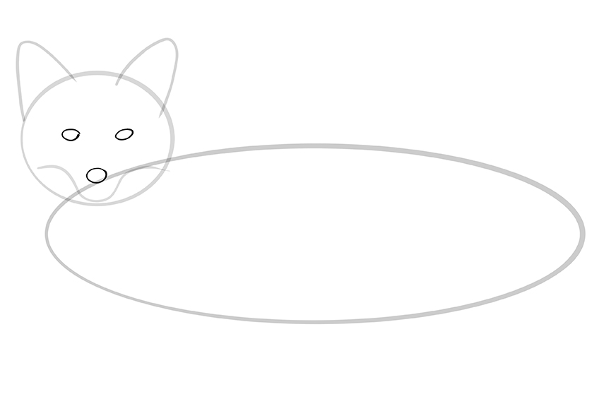 Fox Sketch 5