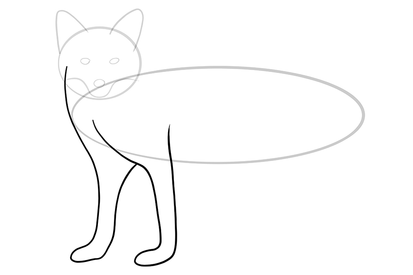 Fox Sketch 6
