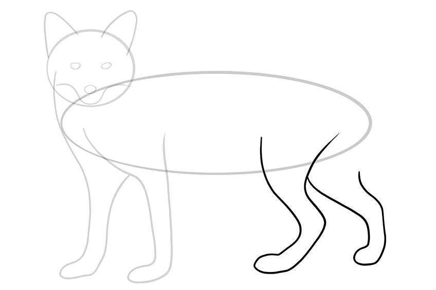 Fox Sketch 7