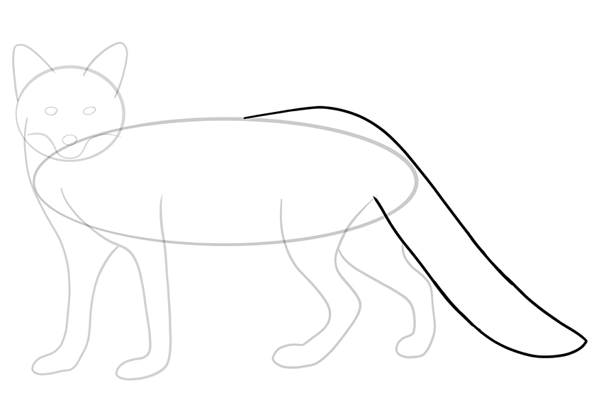 Fox Sketch 8
