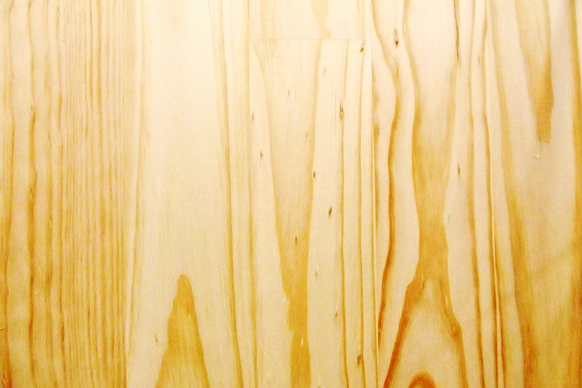 Grain and Color of Pine Wood