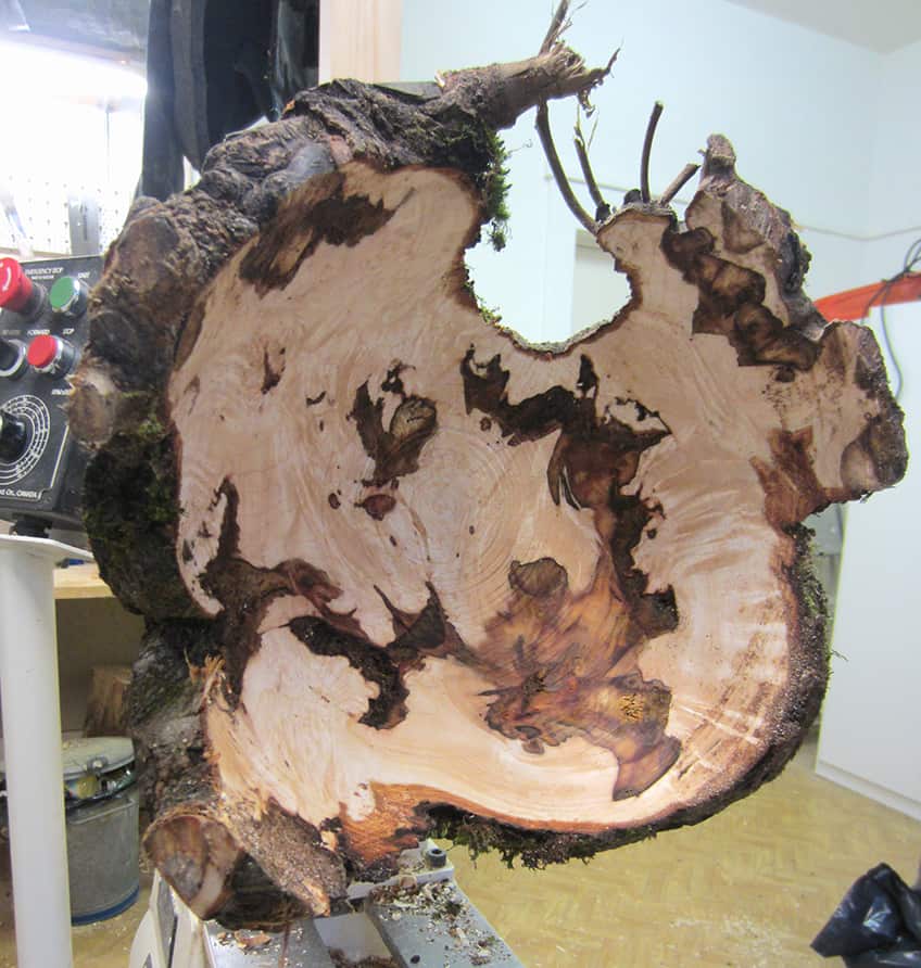 Hollowed-Out Wood Burl