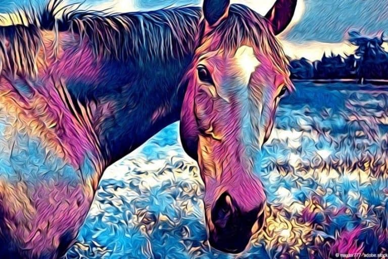 Horse Coloring Pages – The Best Free Horse Coloring Pages