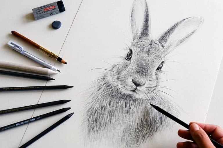 How to Draw a Bunny Face – Do an Easy Bunny Head Drawing (10 Steps)