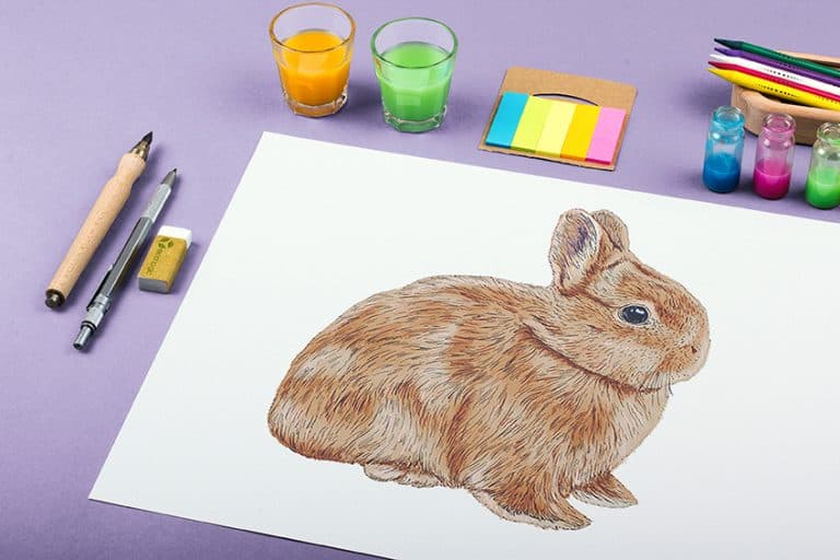 How to Draw a Bunny – An Easy Method for Drawing a Rabbit