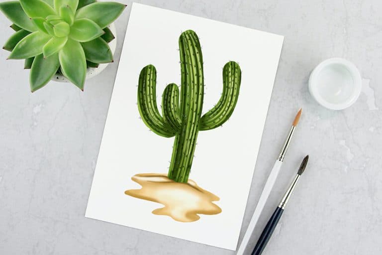 How to Draw a Cactus – An Easy Lesson in Drawing Desert Plants