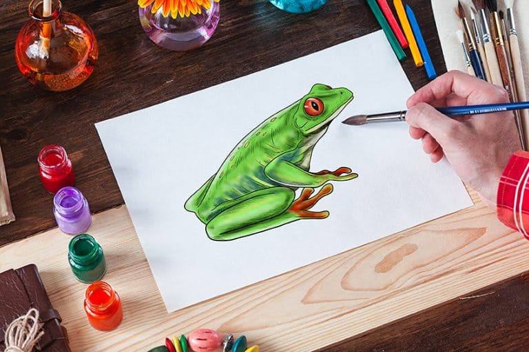 How to Draw a Frog – Drawing Tutorial for Artists of any Level