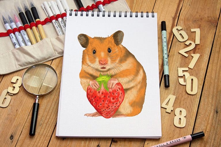 How to Draw a Hamster – Make a Hamster with Strawberry Sketch