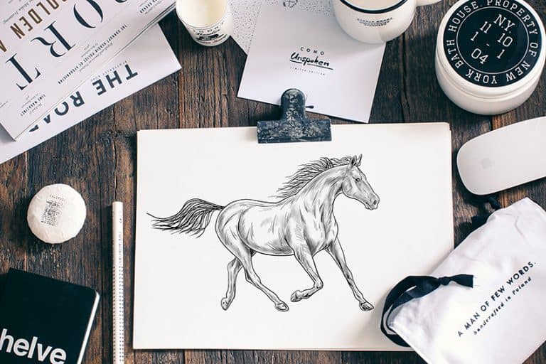 How to Draw a Horse – Guide to Perfecting Your Own Drawing of a Horse