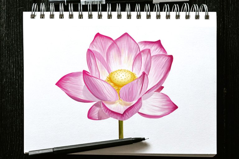 How to Draw a Lotus