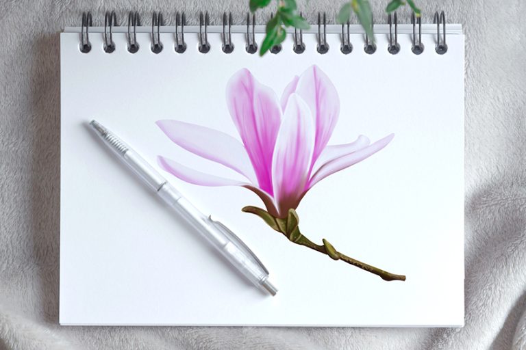 How to Draw a Magnolia Flower – A Step-by-Step Flower Art Tutorial