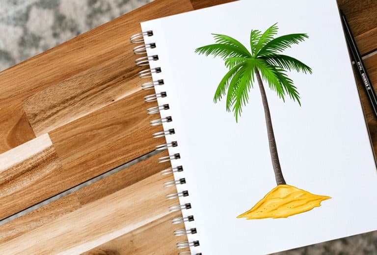 How to Draw a Palm Tree – Our Favorite Beach Tree Drawing Tutorial