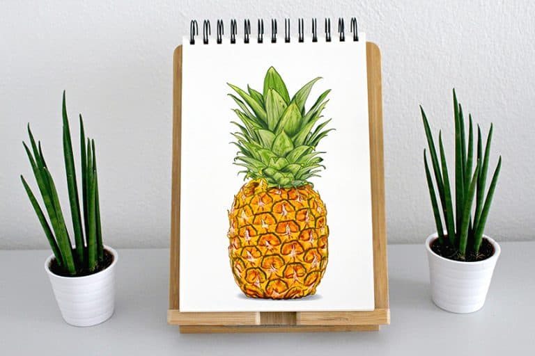 How to Draw a Pineapple – Tropical Fruit Sketching Session