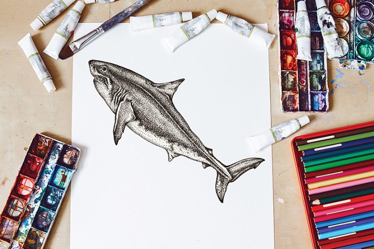 How to Draw a Shark – Capture an Ocean Predator on Your Page