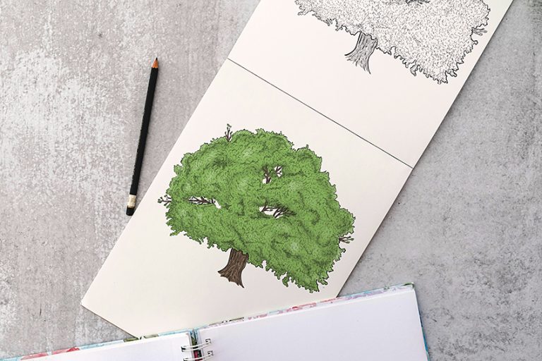 How to Draw a Tree – Step-by-Step Tree Drawing Tutorial