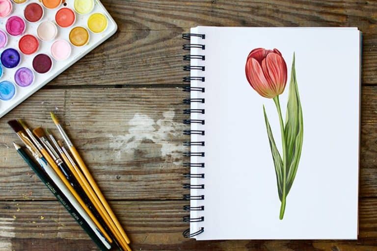 How to Draw a Tulip – Catch Tulip Drawing Fever