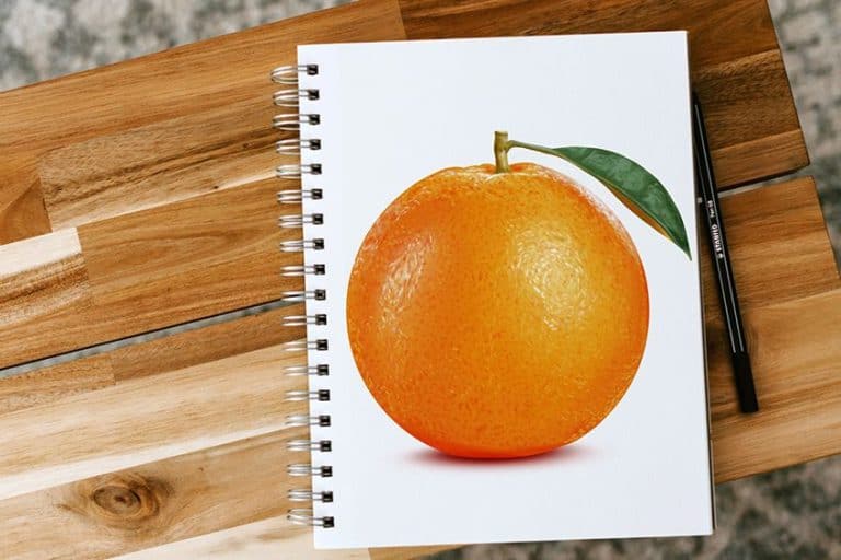 How to Draw an Orange – Our Simple Drawing Tutorial