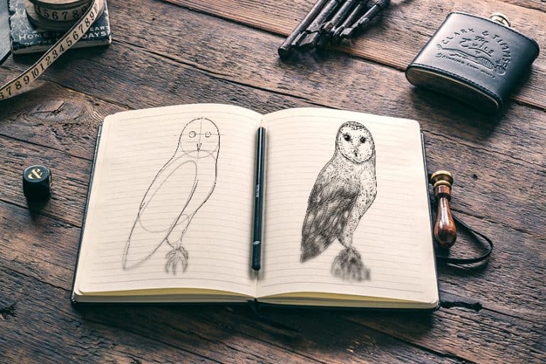 How to Draw an Owl – Our In-Depth Realistic Owl Drawing Tutorial