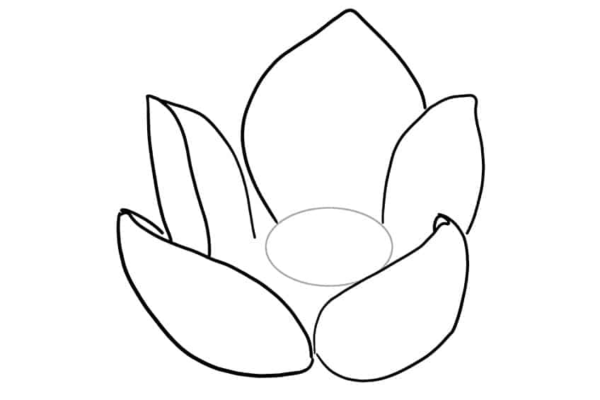 Lotus Sketch 2
