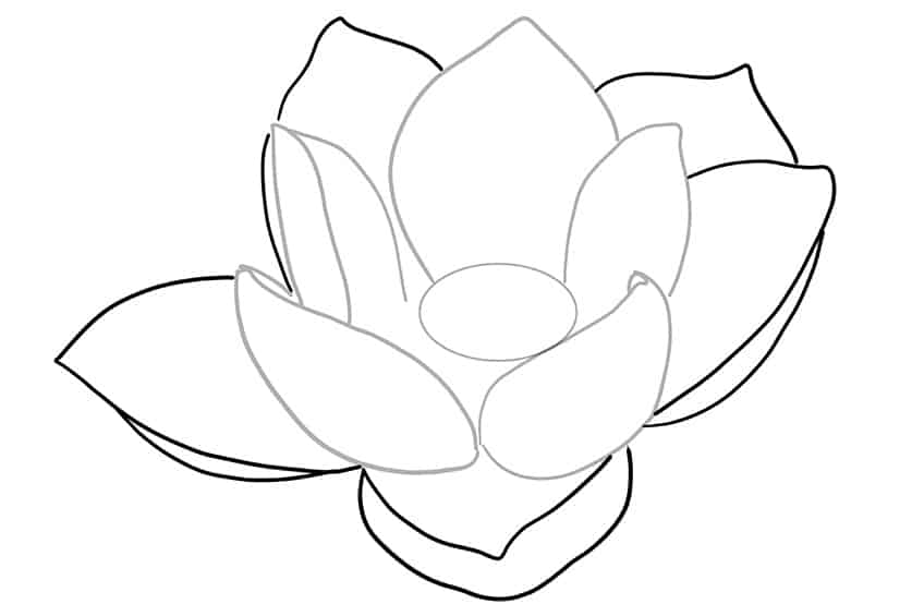 Lotus Sketch 3