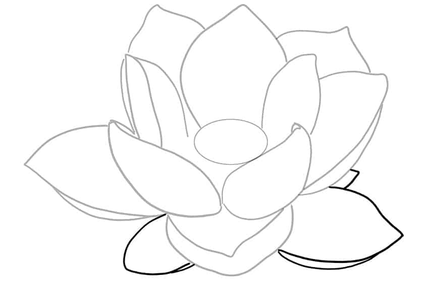 Lotus Sketch 4