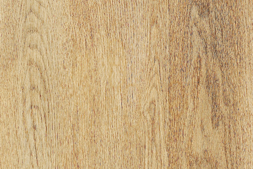 Maple Wood Grain Close-Up