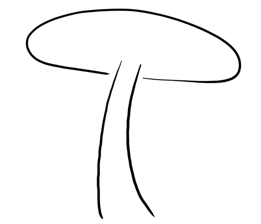 Mushroom Sketch 2