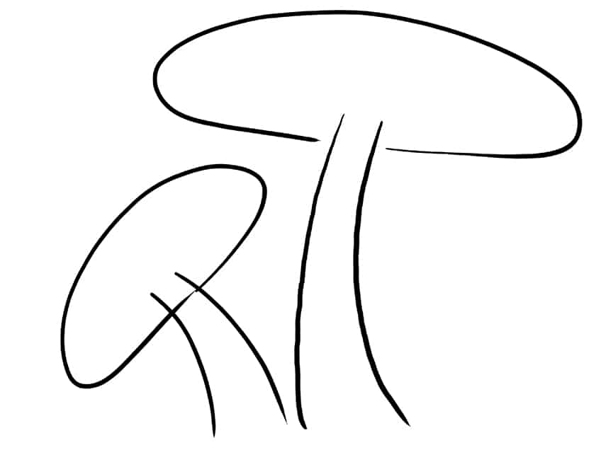 Mushroom Sketch 3
