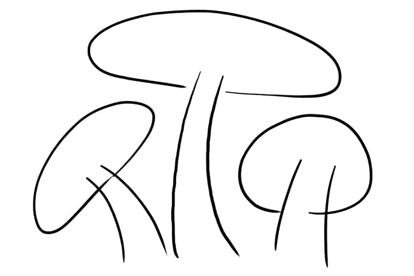 Mushroom Sketch 4