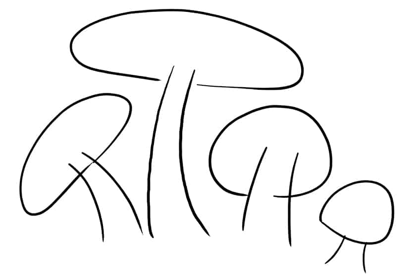 Mushroom Sketch 5
