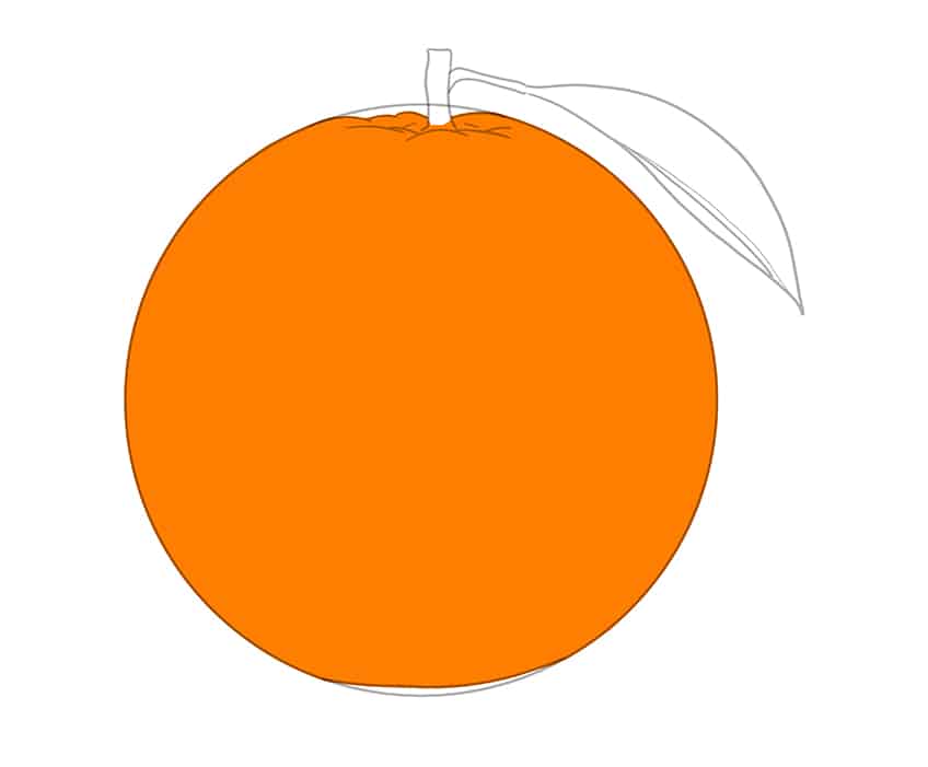 Orange Sketch 5