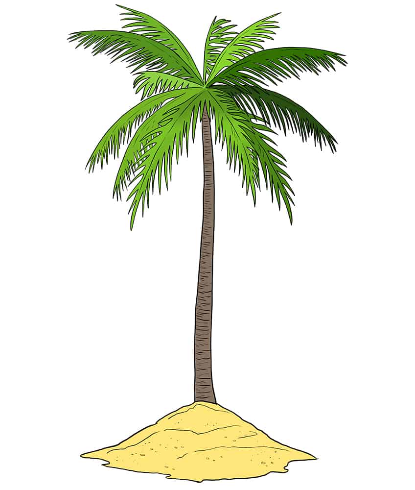 Palm Tree Sketch 10
